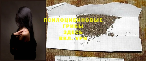 скорость Елизово