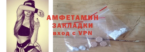 тгк Ельня