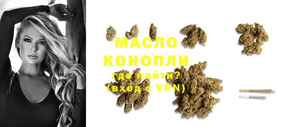 тгк Ельня