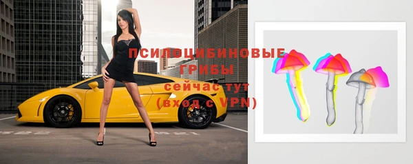 тгк Ельня