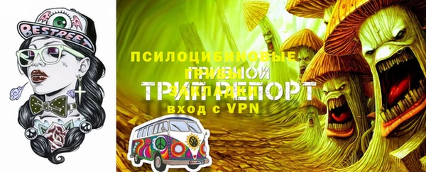 тгк Ельня