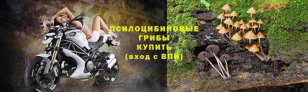 скорость Елизово
