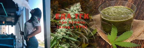 тгк Ельня