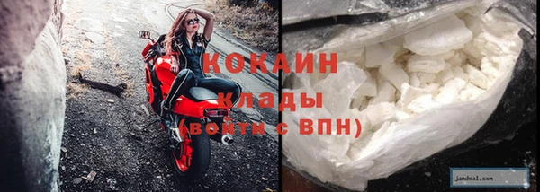 тгк Ельня