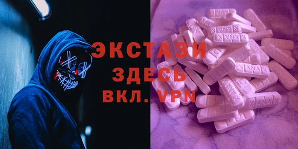 тгк Ельня