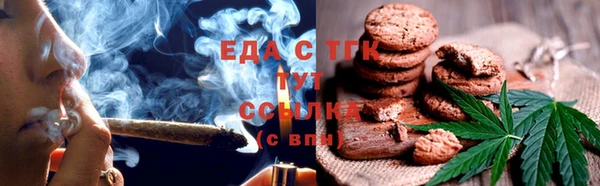 тгк Ельня