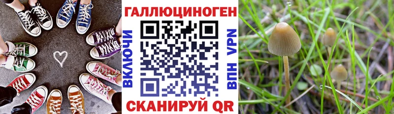 Псилоцибиновые грибы Psilocybine cubensis  Купить закладки  Заводоуковск 